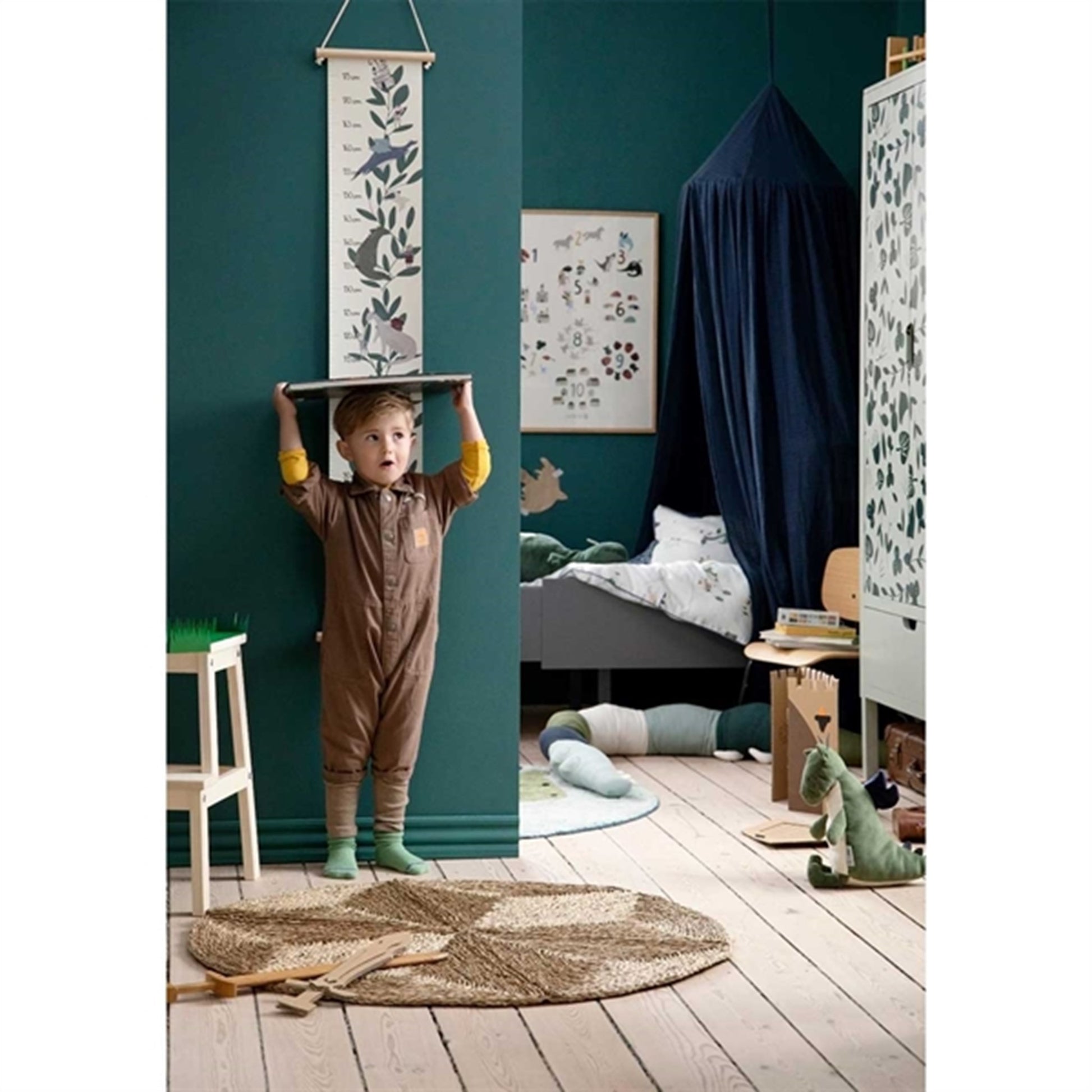 Sebra Height Measurement Dragon Tales 2