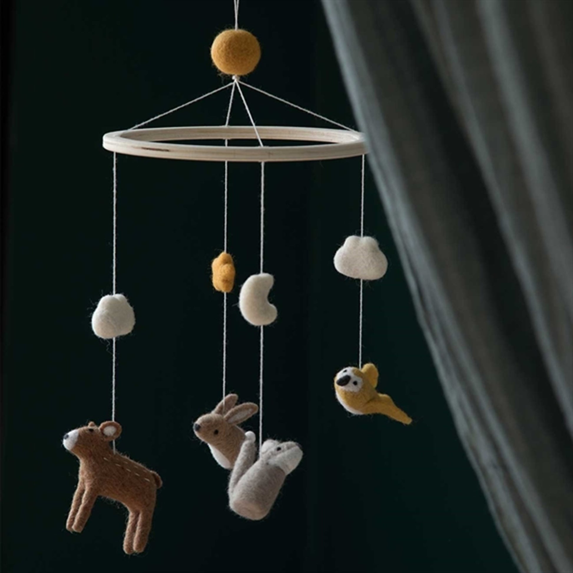 Sebra Mobile Nightsky 2