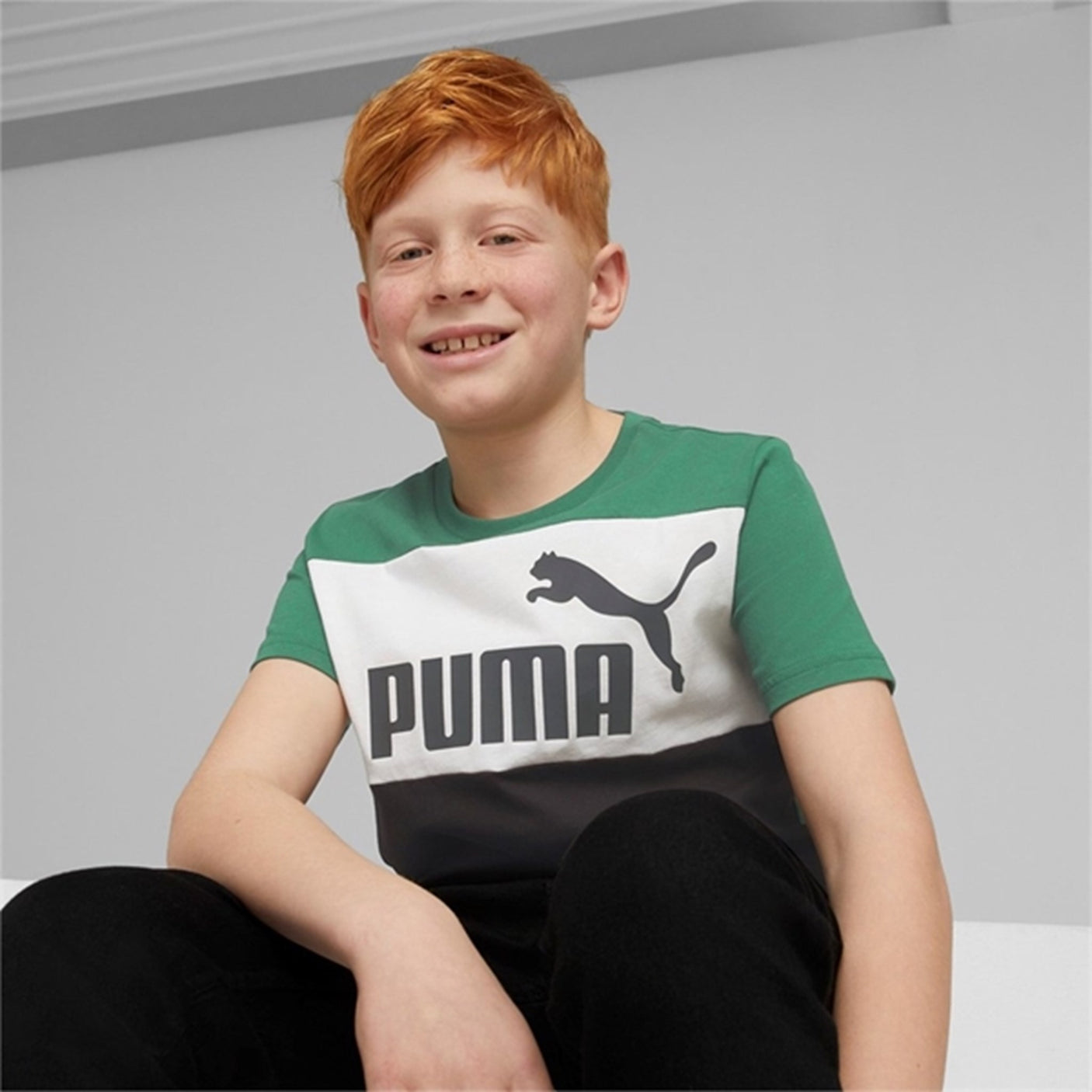 Puma ESS Block T-shirt Vine