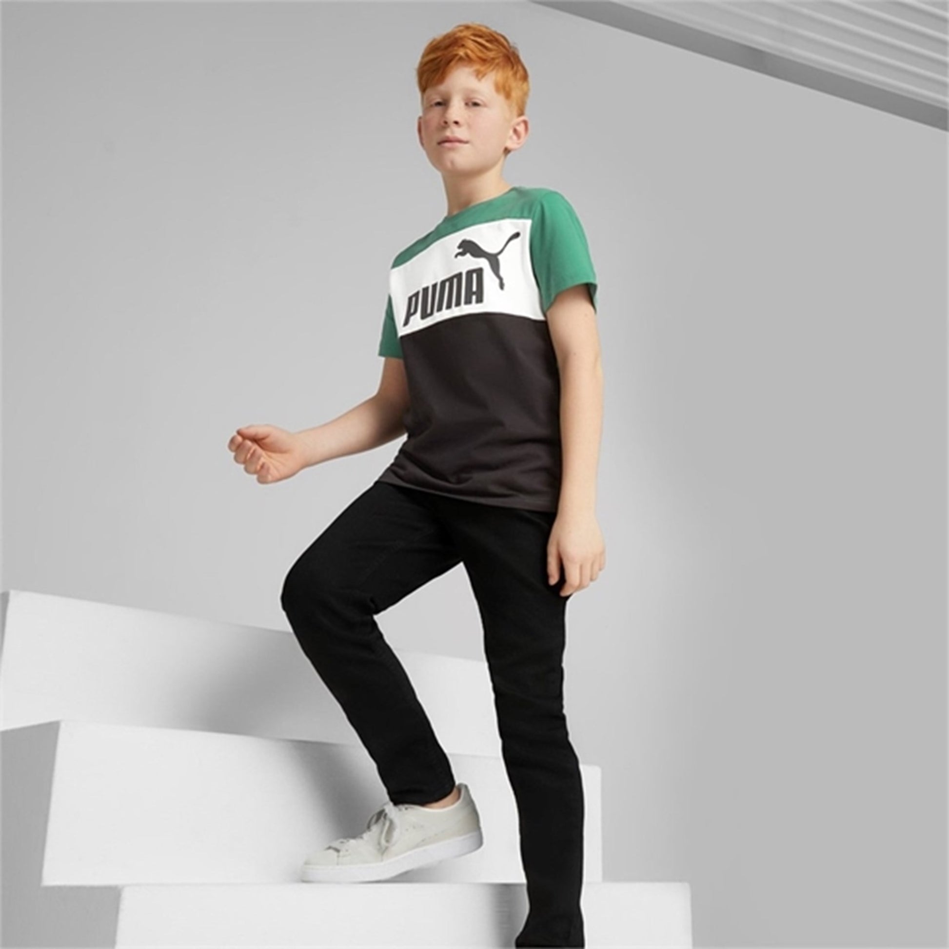 Puma ESS Block T-shirt Vine