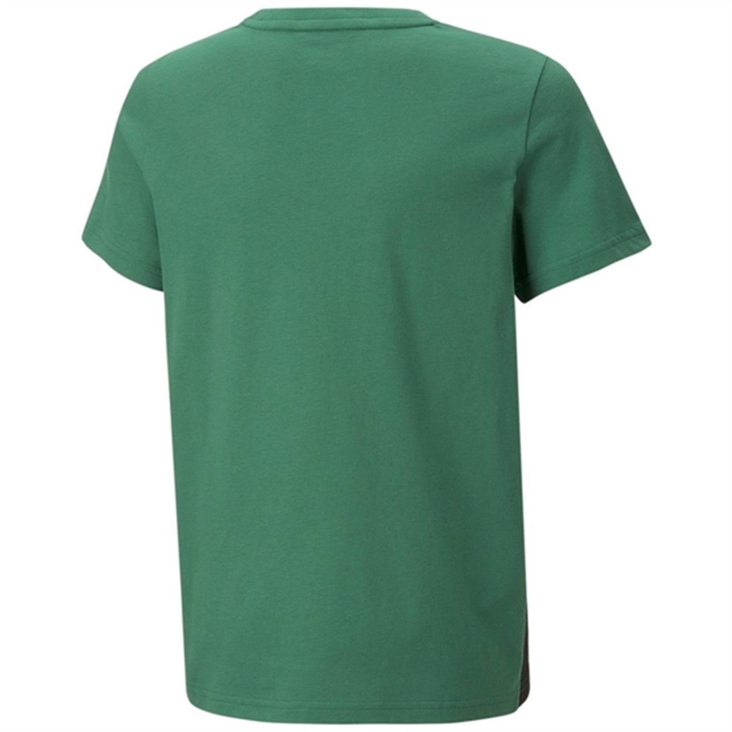 Puma ESS Block T-shirt Vine