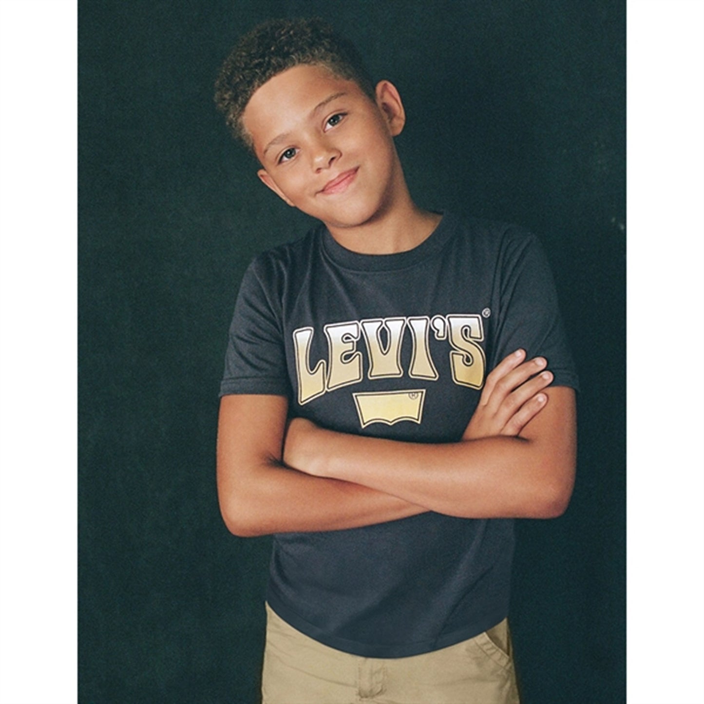 Levi's Rock Out T-shirt Grey