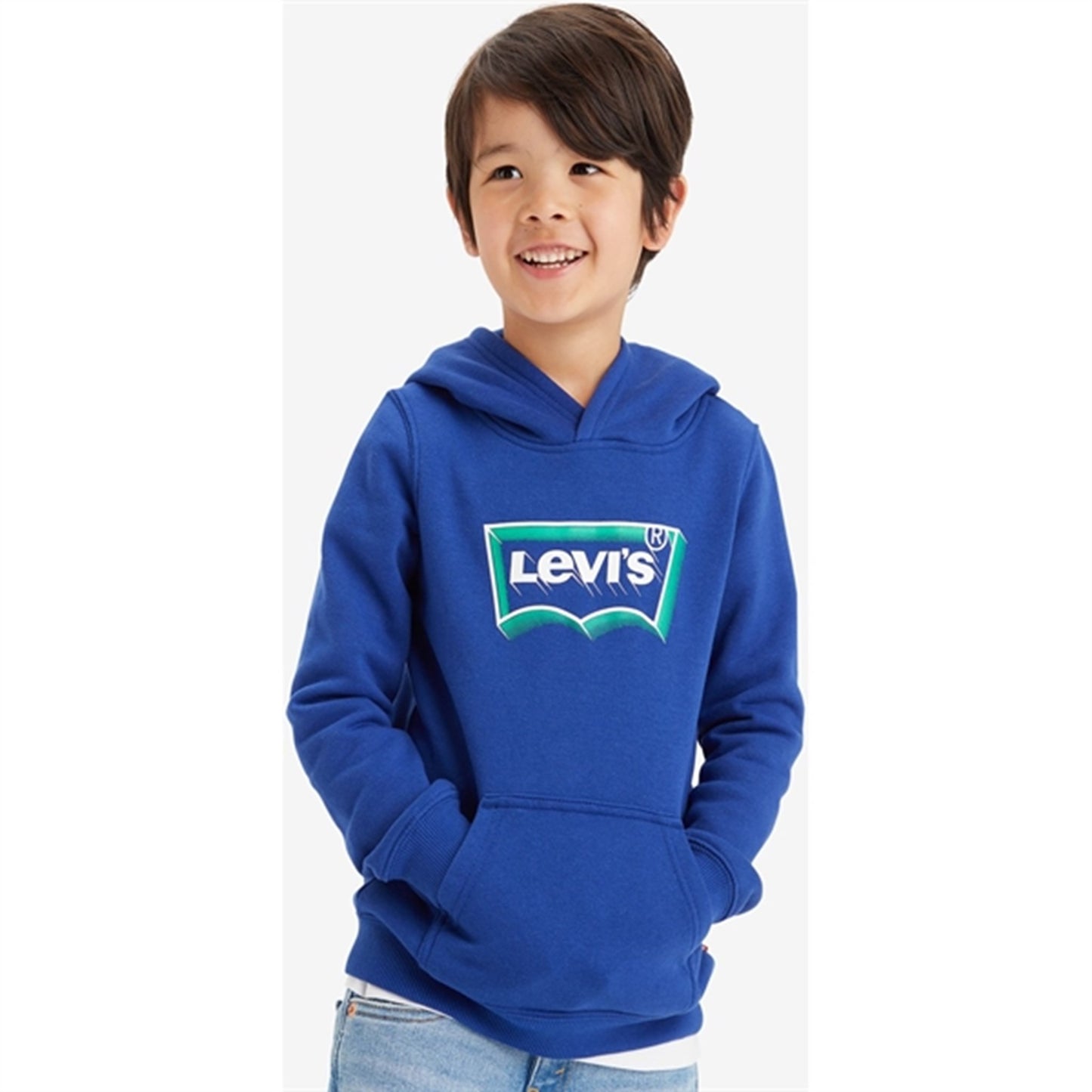 Levi's Batwing Fill Pullover Hoodie Sodalite Blue