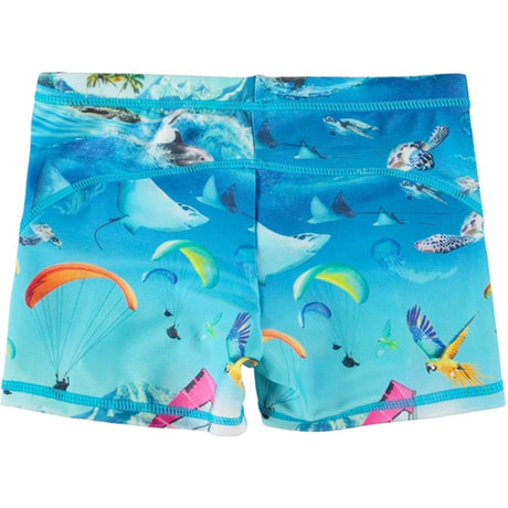 Molo Passion For Motion Norton Trunks