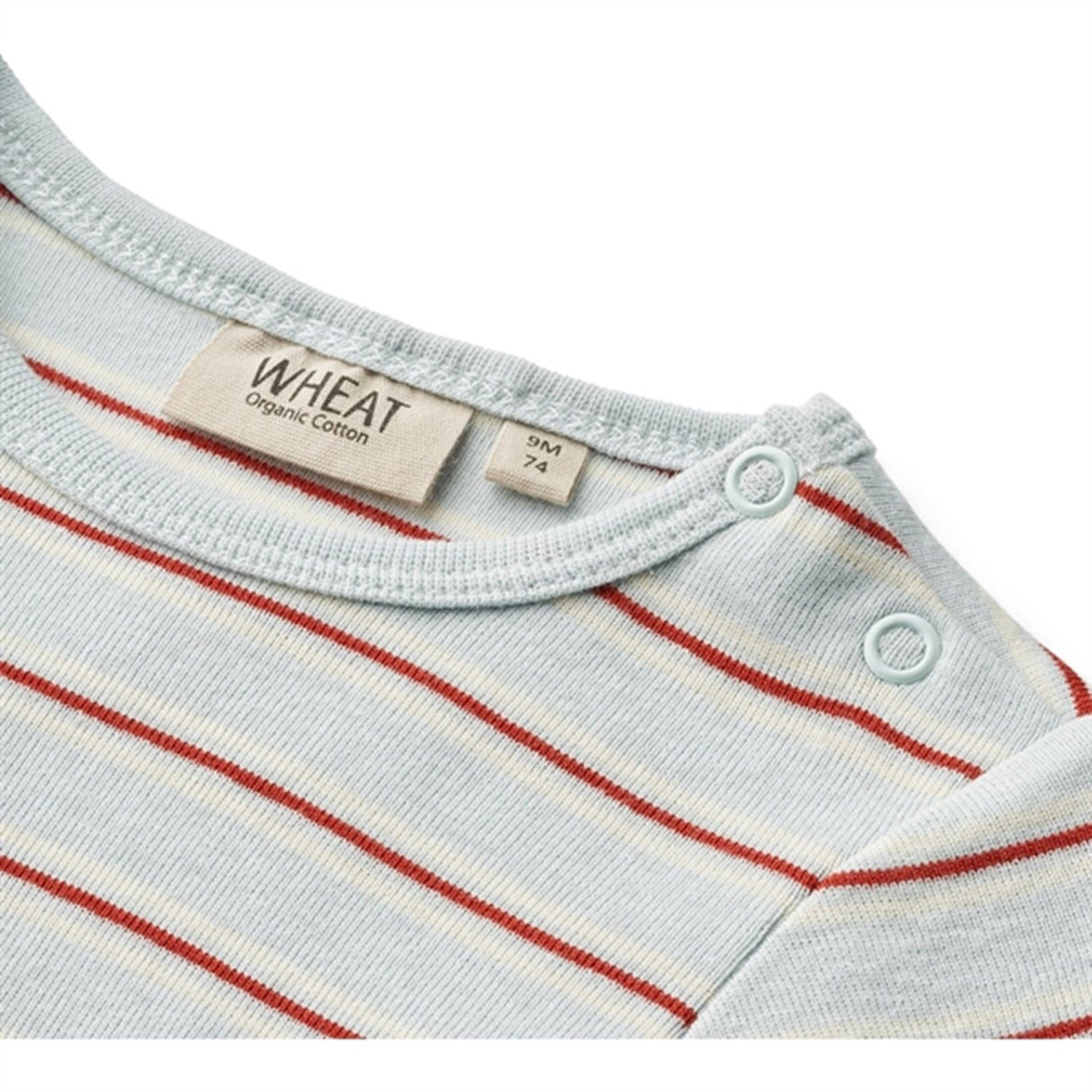 Wheat Light Blue Stripe Body Freddie