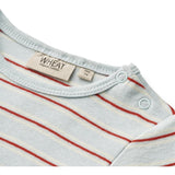 Wheat Light Blue Stripe Body Freddie