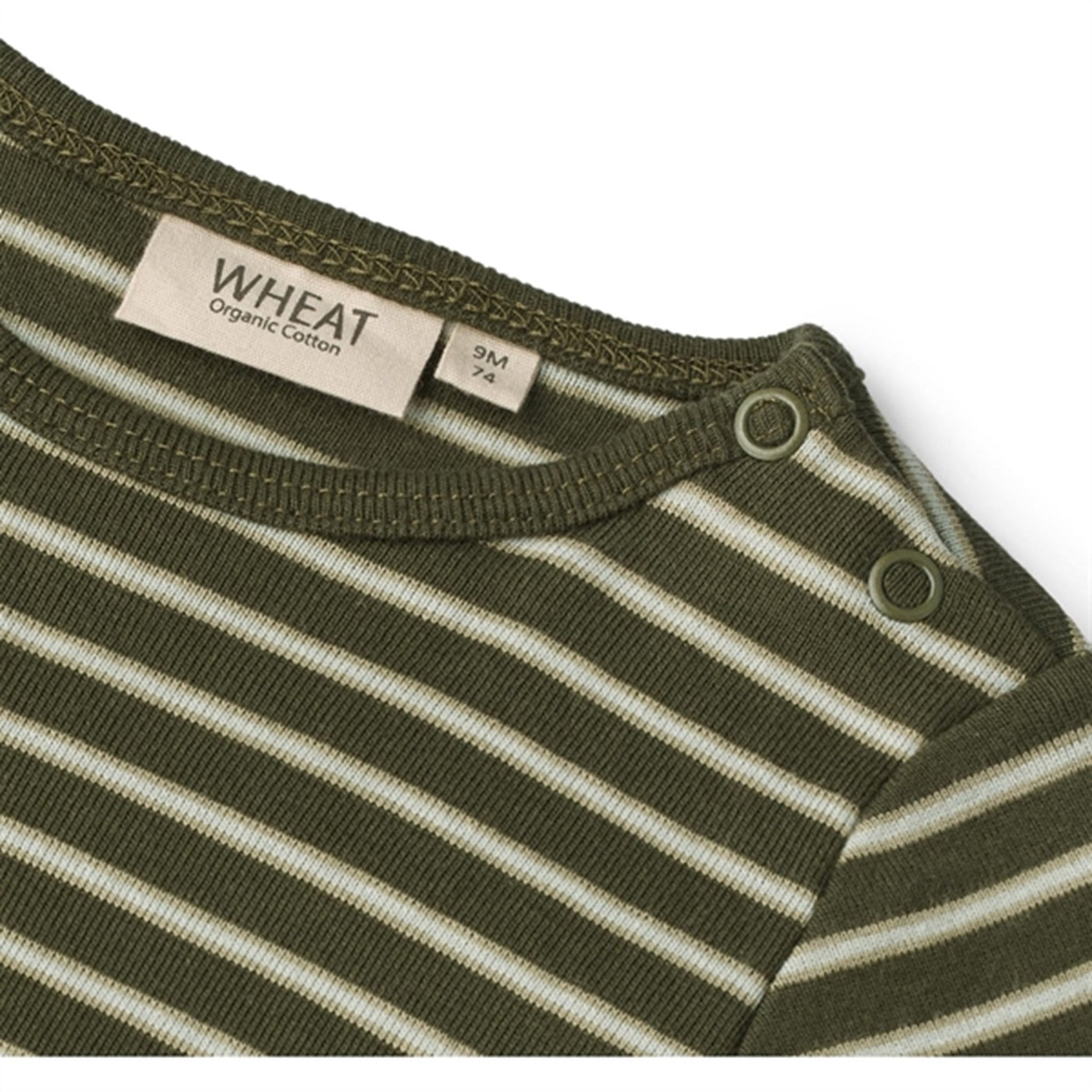 Wheat Dark Green Stripe Body Berti