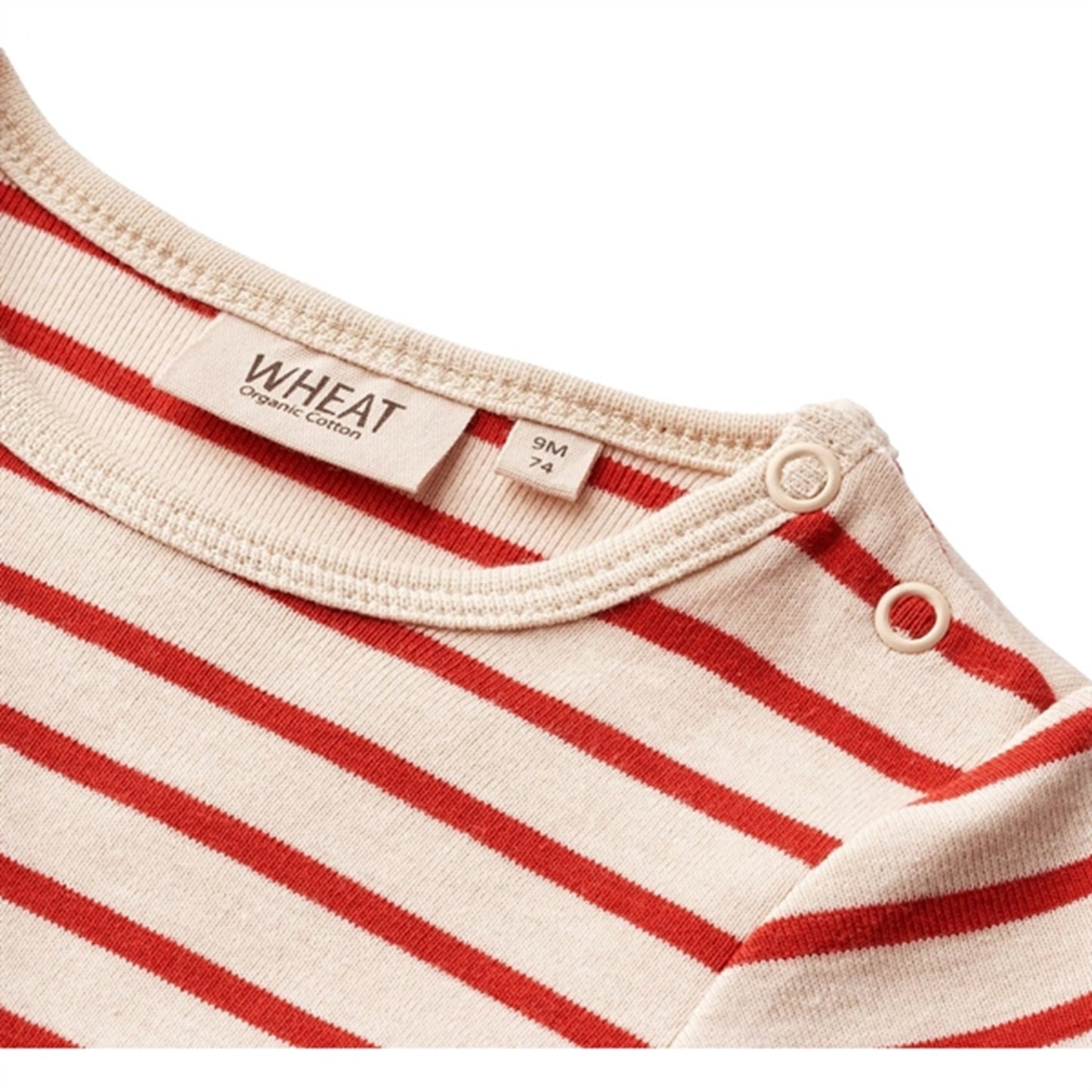 Wheat Red Stripe Body Berti