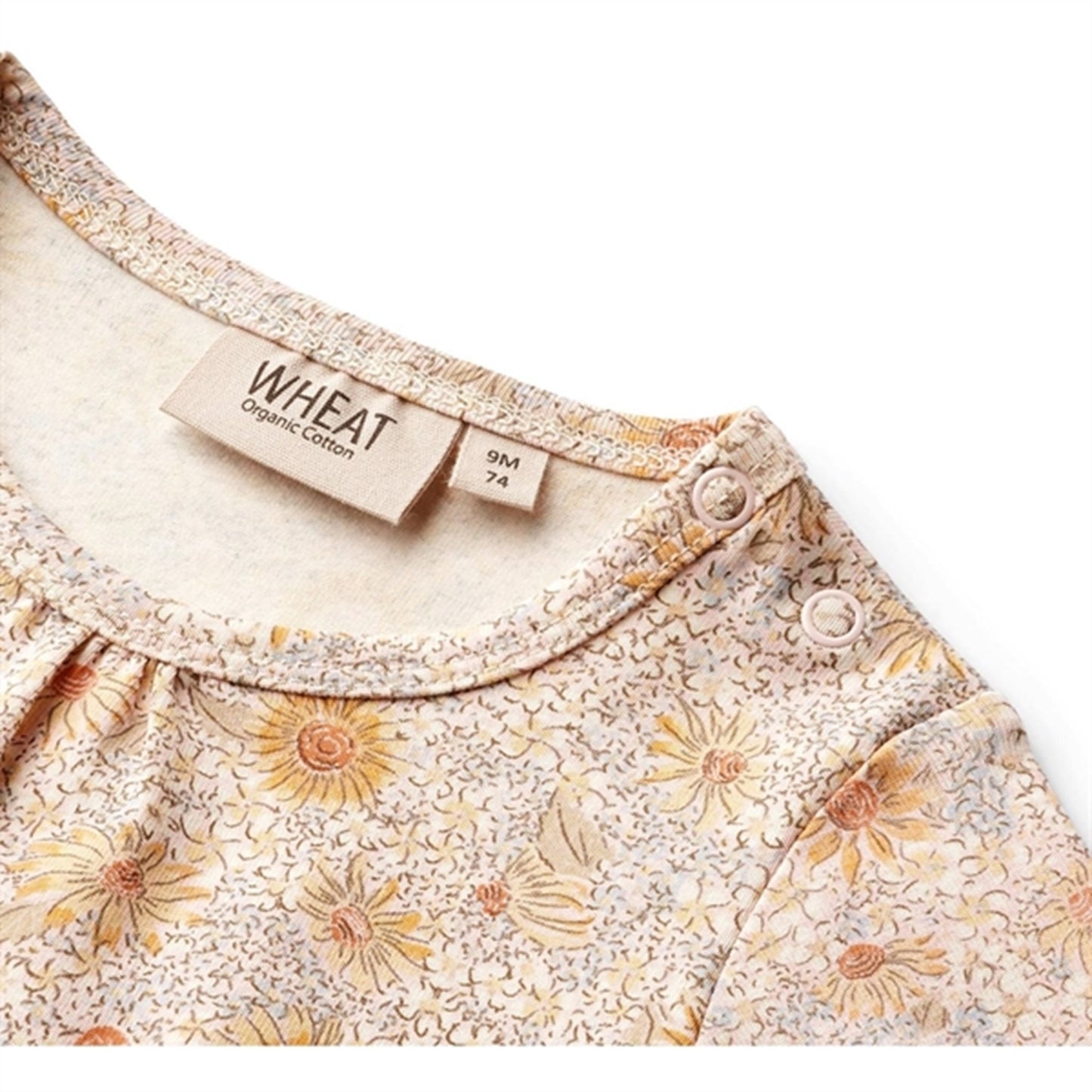 Wheat Coneflowers Body Liv