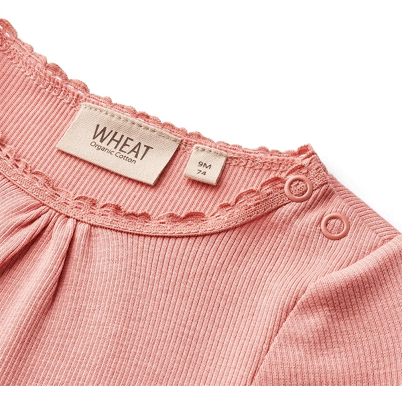 Wheat Rosette Rib Body Lotta