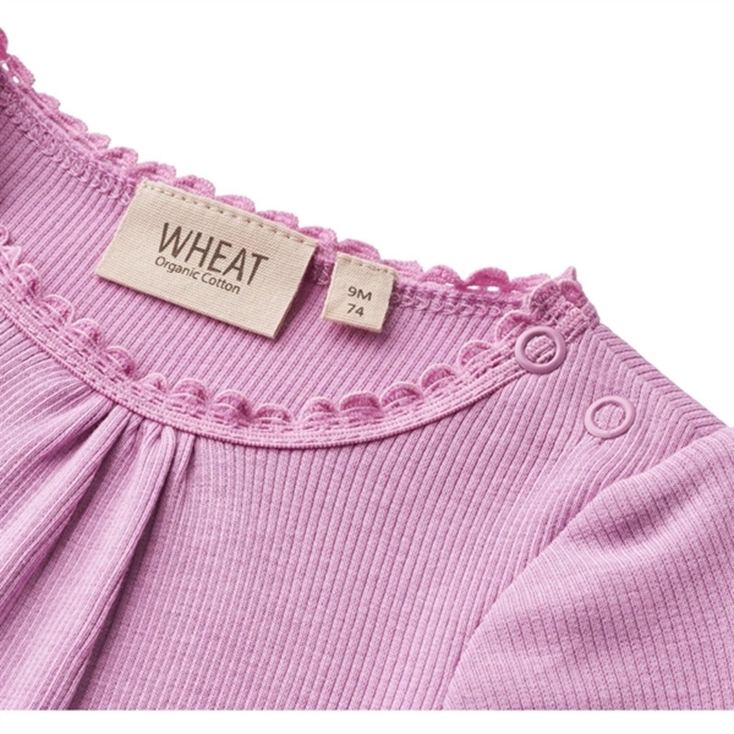 Wheat Iris Rib Body Lotta