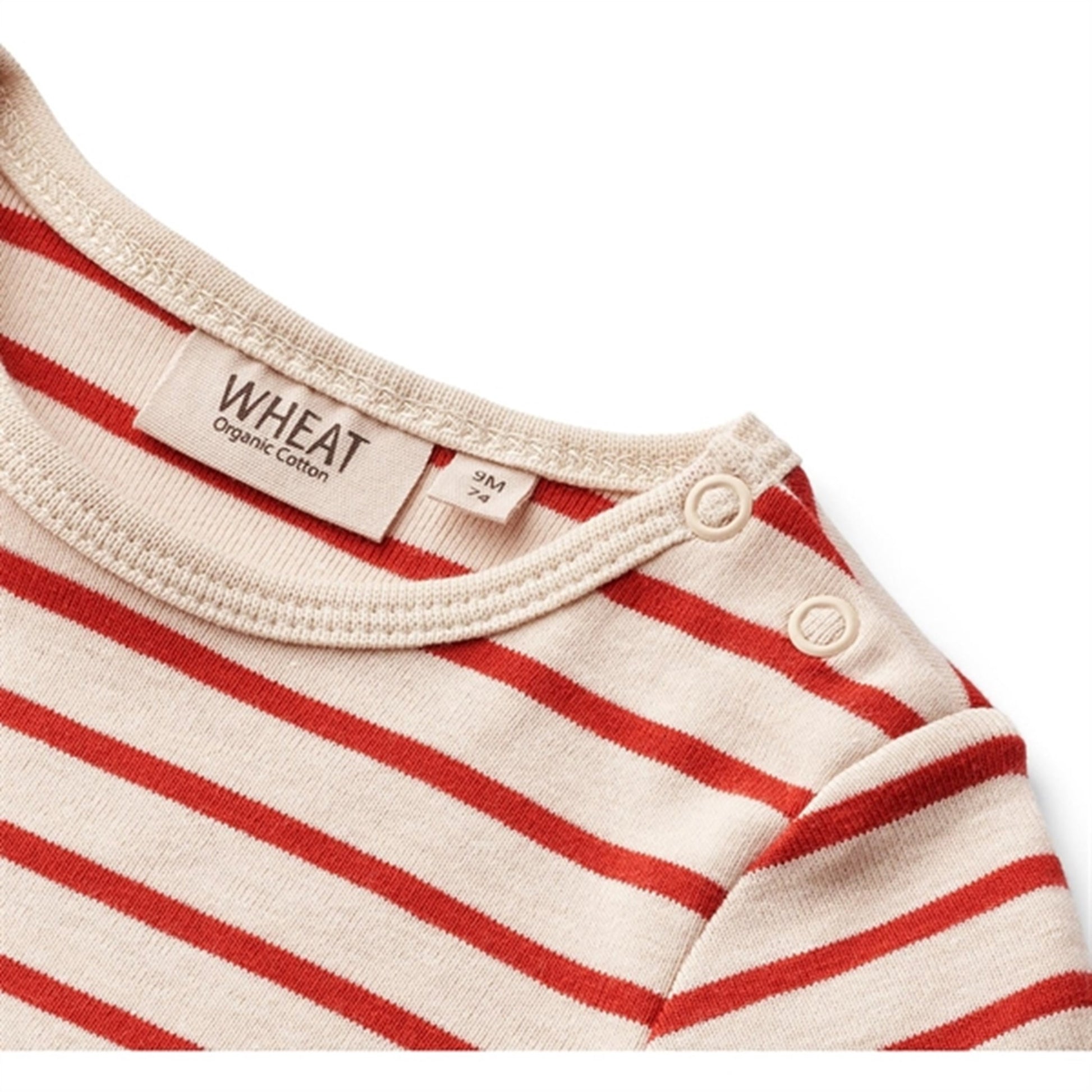 Wheat Red Stripe Body Edvald