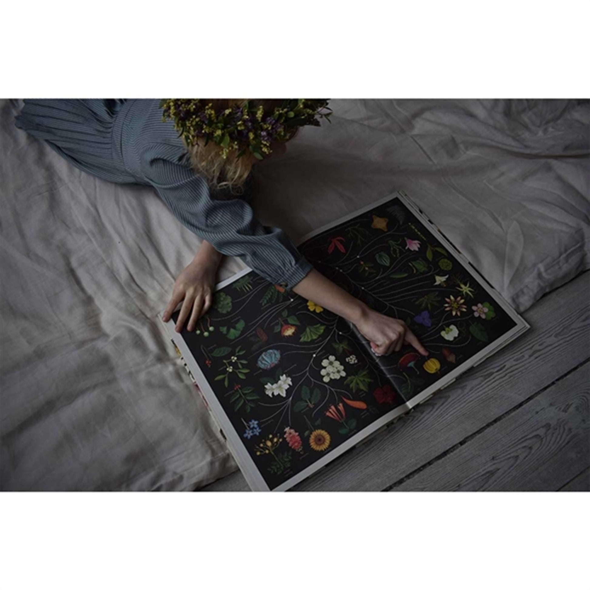 Forlaget Mammut Botanicum