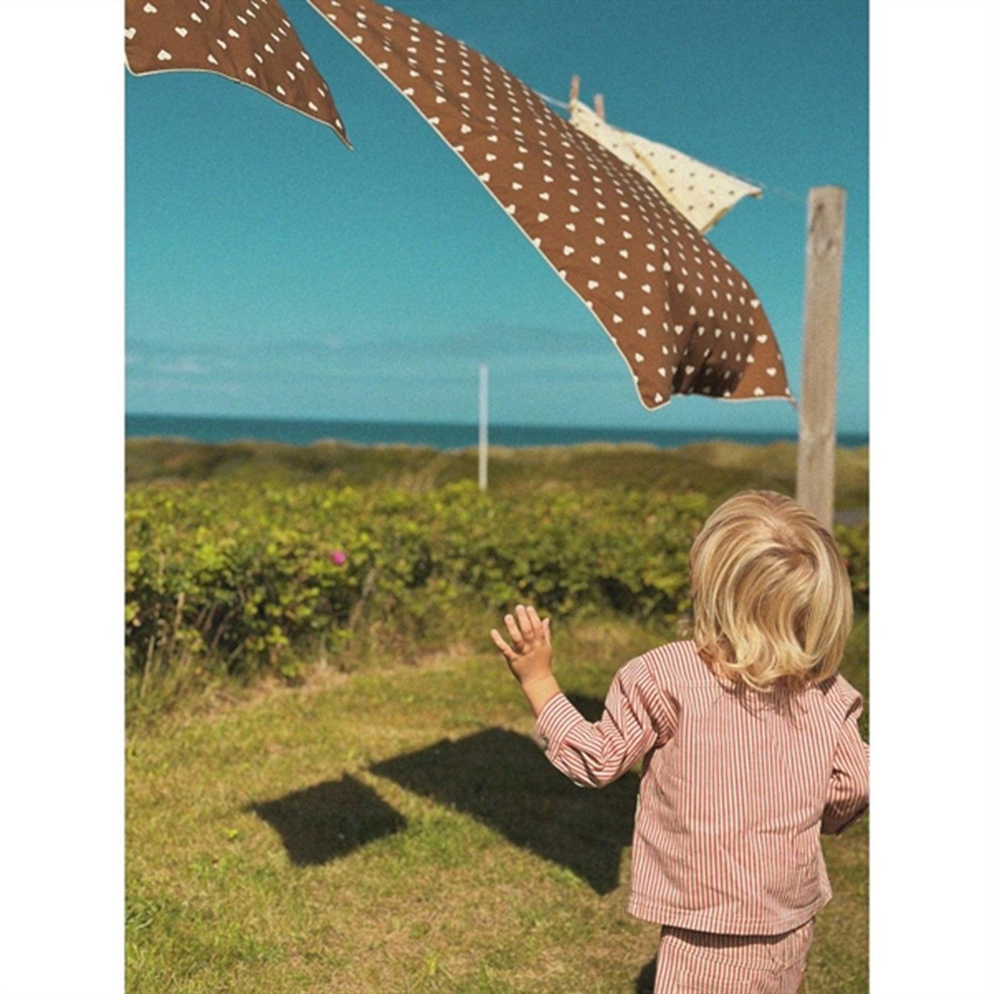 Flöss Max Pants Scarlet Stripe