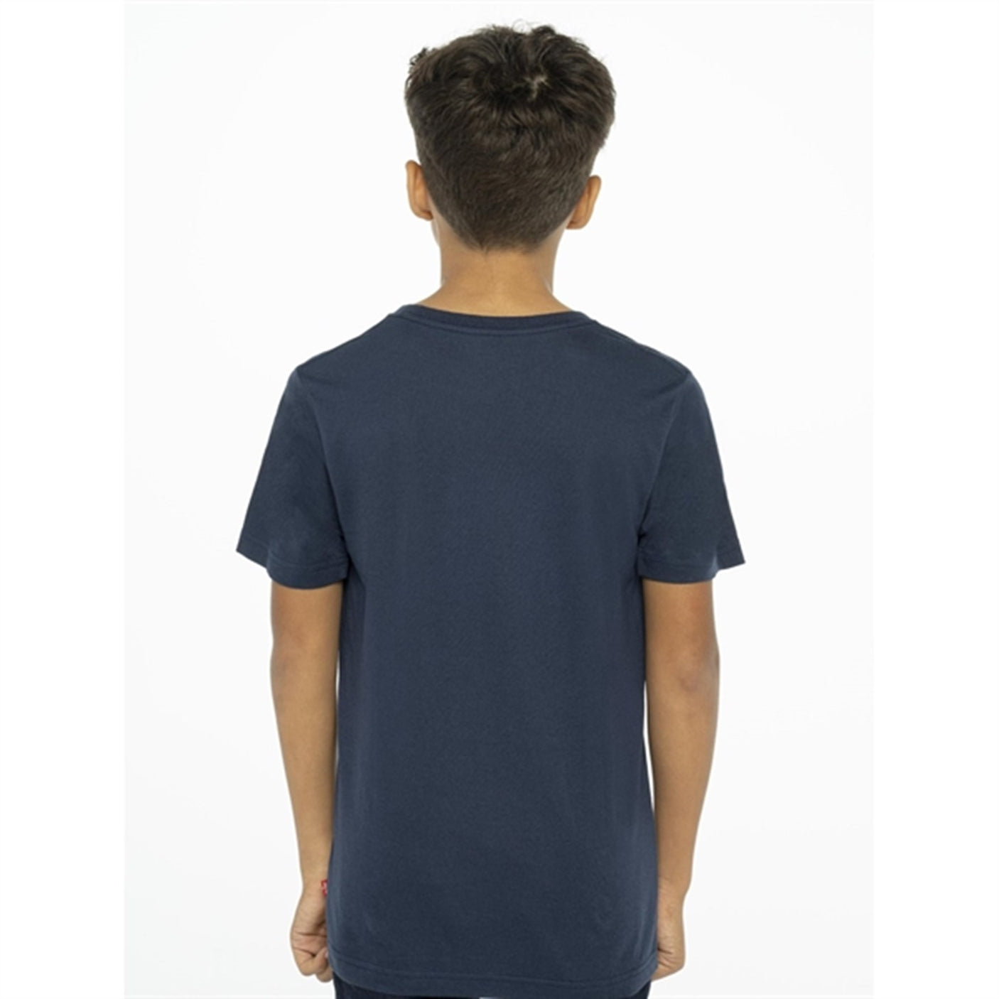 Levi's Graphic Batwing T-Shirt Dress Blues