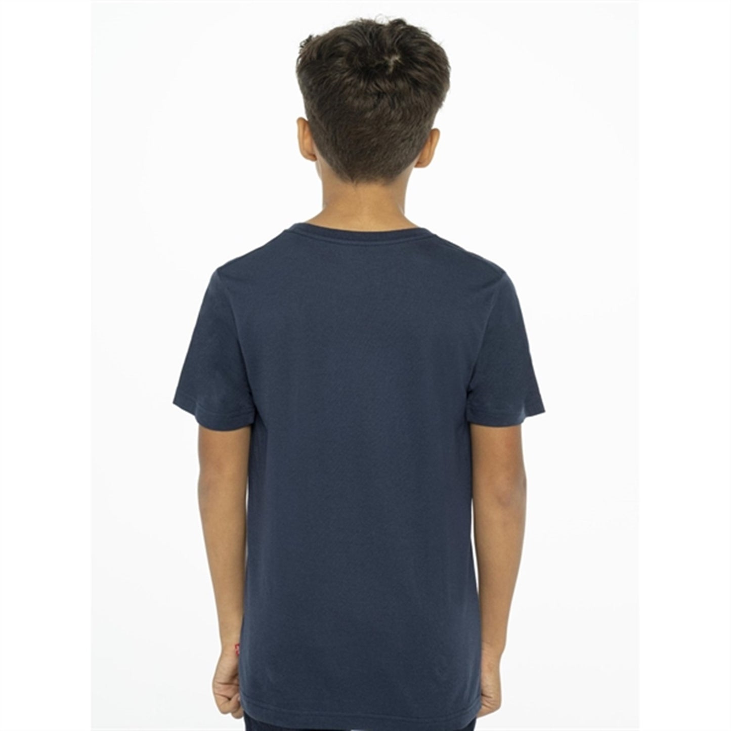 Levi's Graphic Batwing T-Shirt Dress Blues