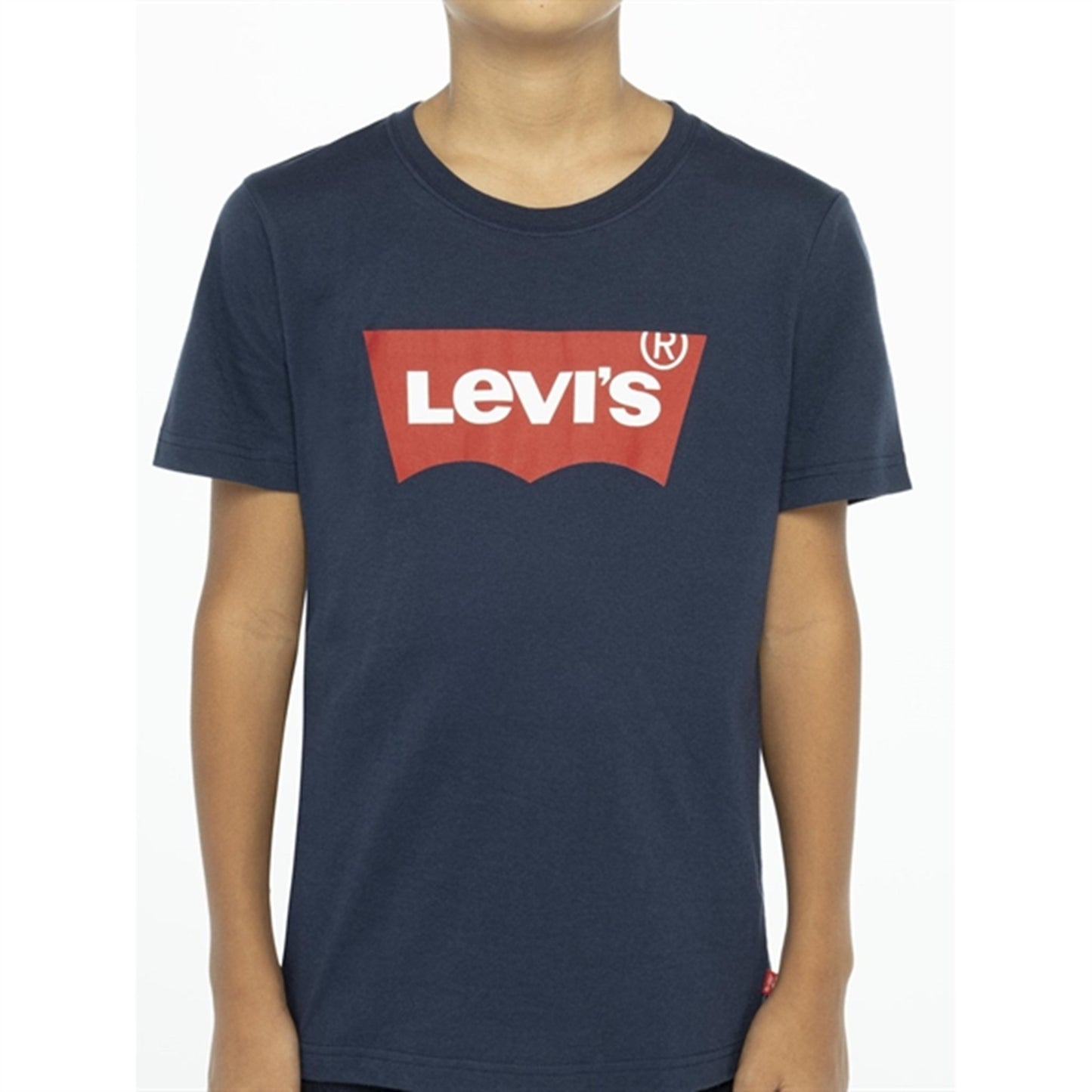 Levi's Graphic Batwing T-Shirt Dress Blues