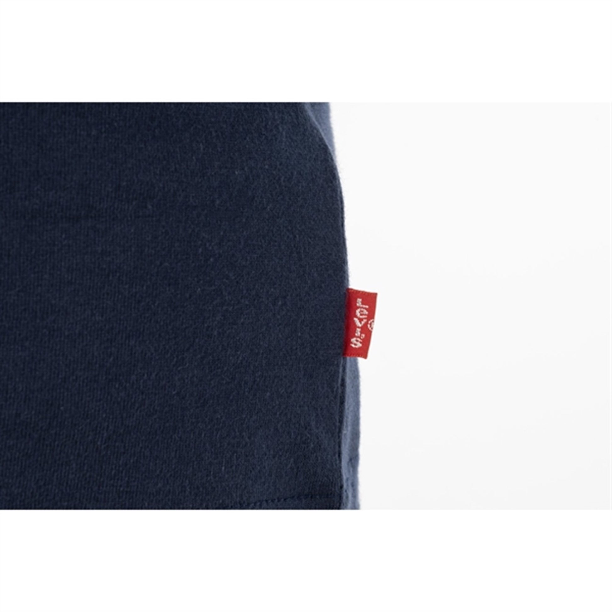 Levi's Graphic Batwing T-Shirt Dress Blues