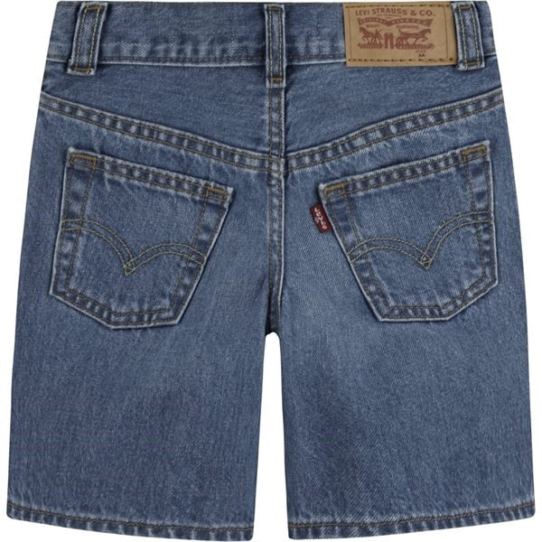 Levi's Skate Shorts Basil Sky Without Destruction