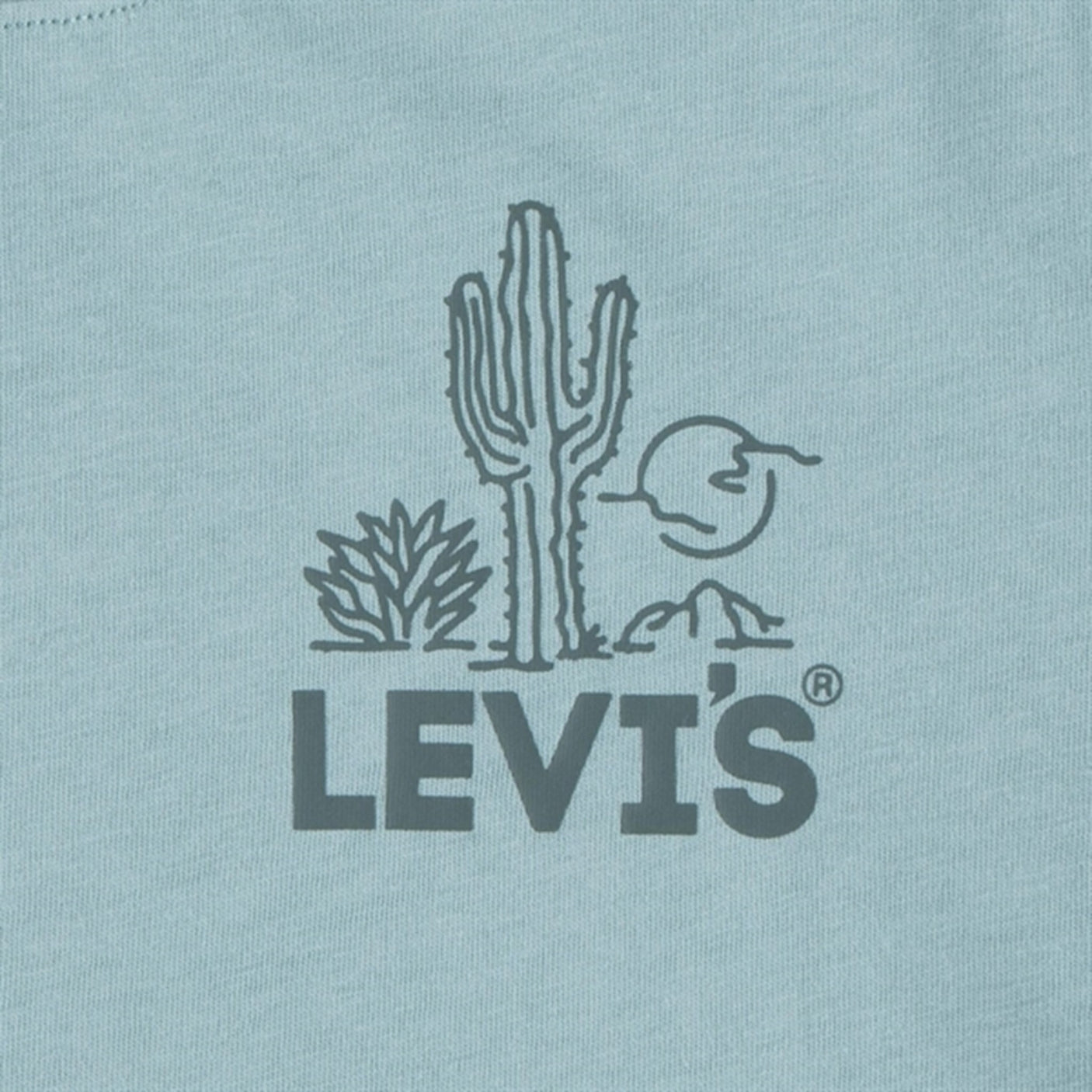 Levi's Cacti Club T-Shirt Levi's Blue Surf