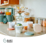 Babymoov ECO Food Container - 6x 250ml