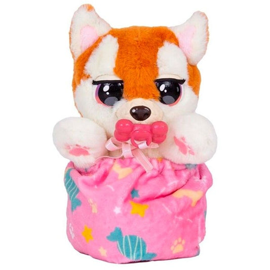 Baby Paws Mini Shibainu