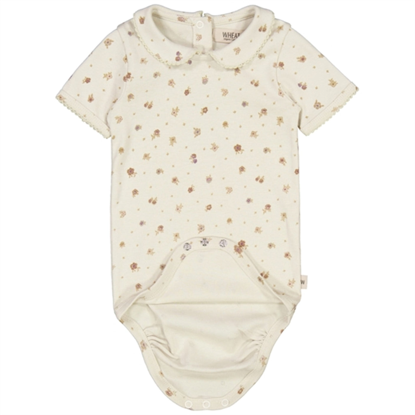 Wheat Chalk Flowers Beate Body