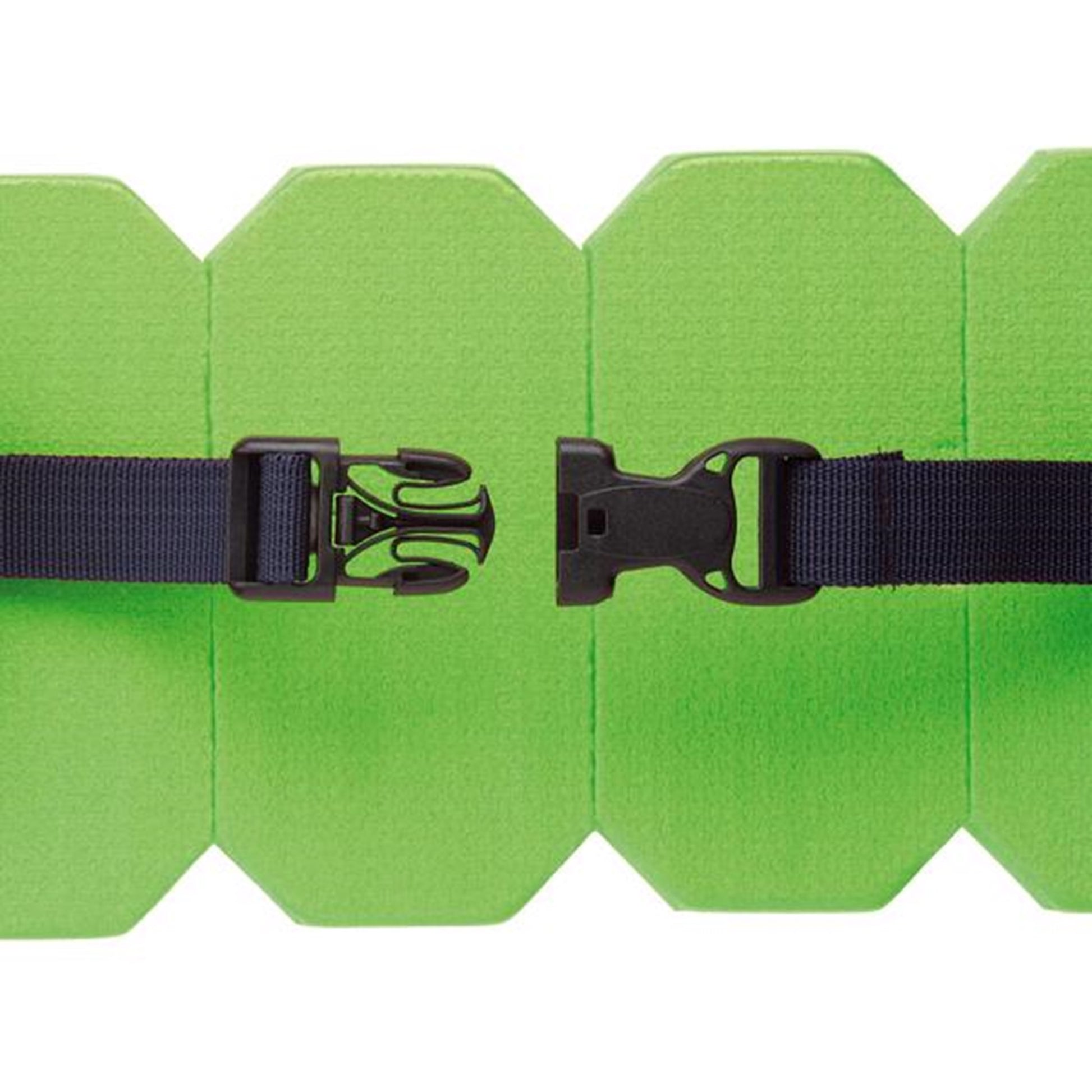 BECO Sealife Swim Belt Green