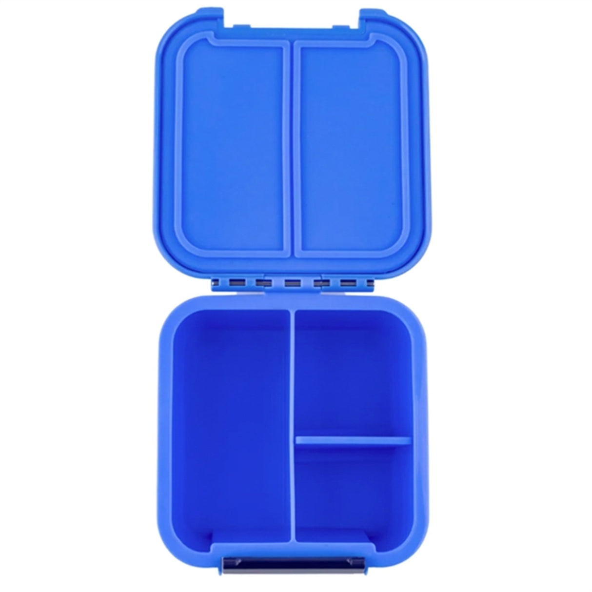 Little Lunch Box Co Bento 2 Lunch Box Blueberry 4