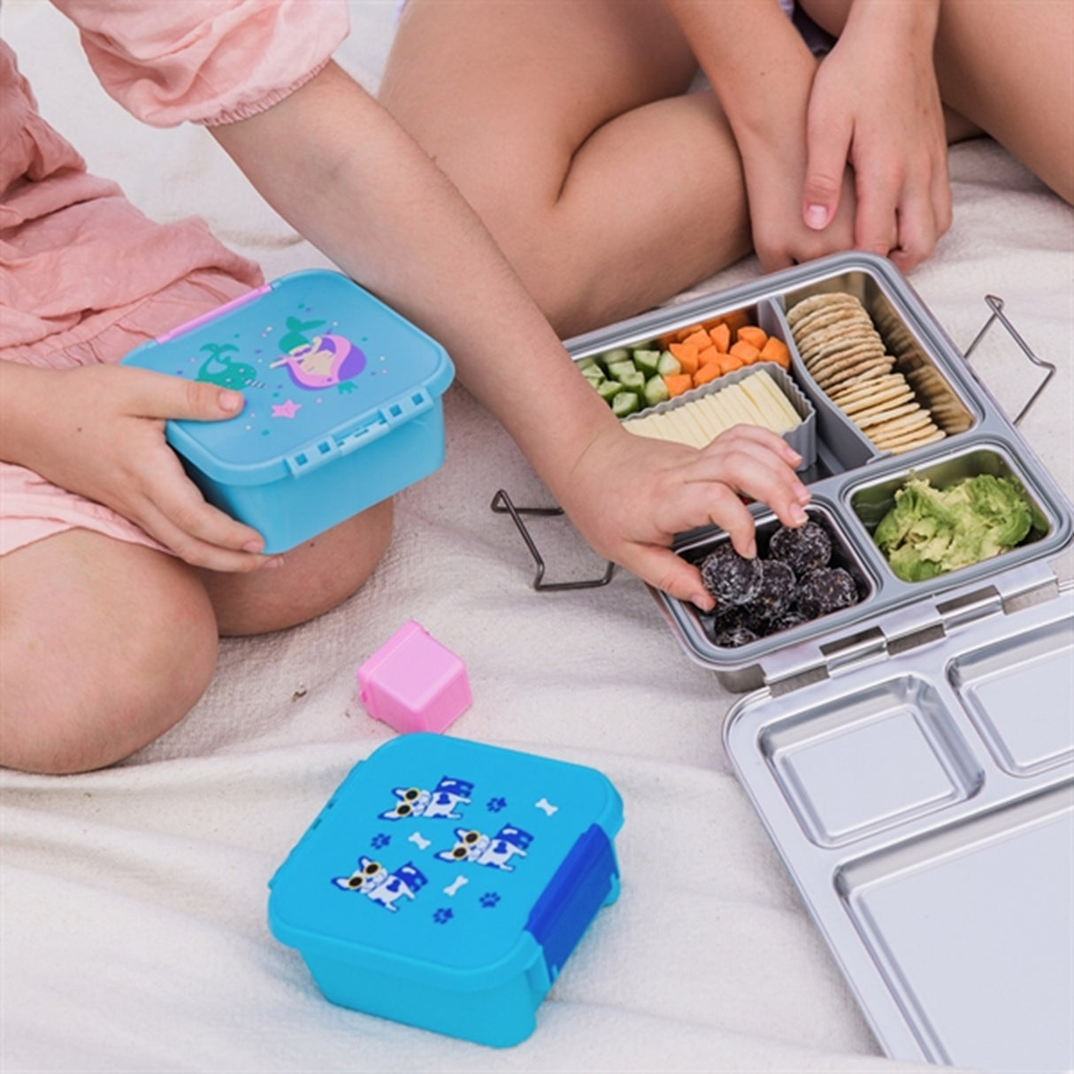 Little Lunch Box Co Bento 2 Lunch Box Cool Pup 3