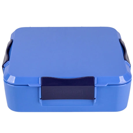 Little Lunch Box Co Bento 3+ Lunch Box Blueberry