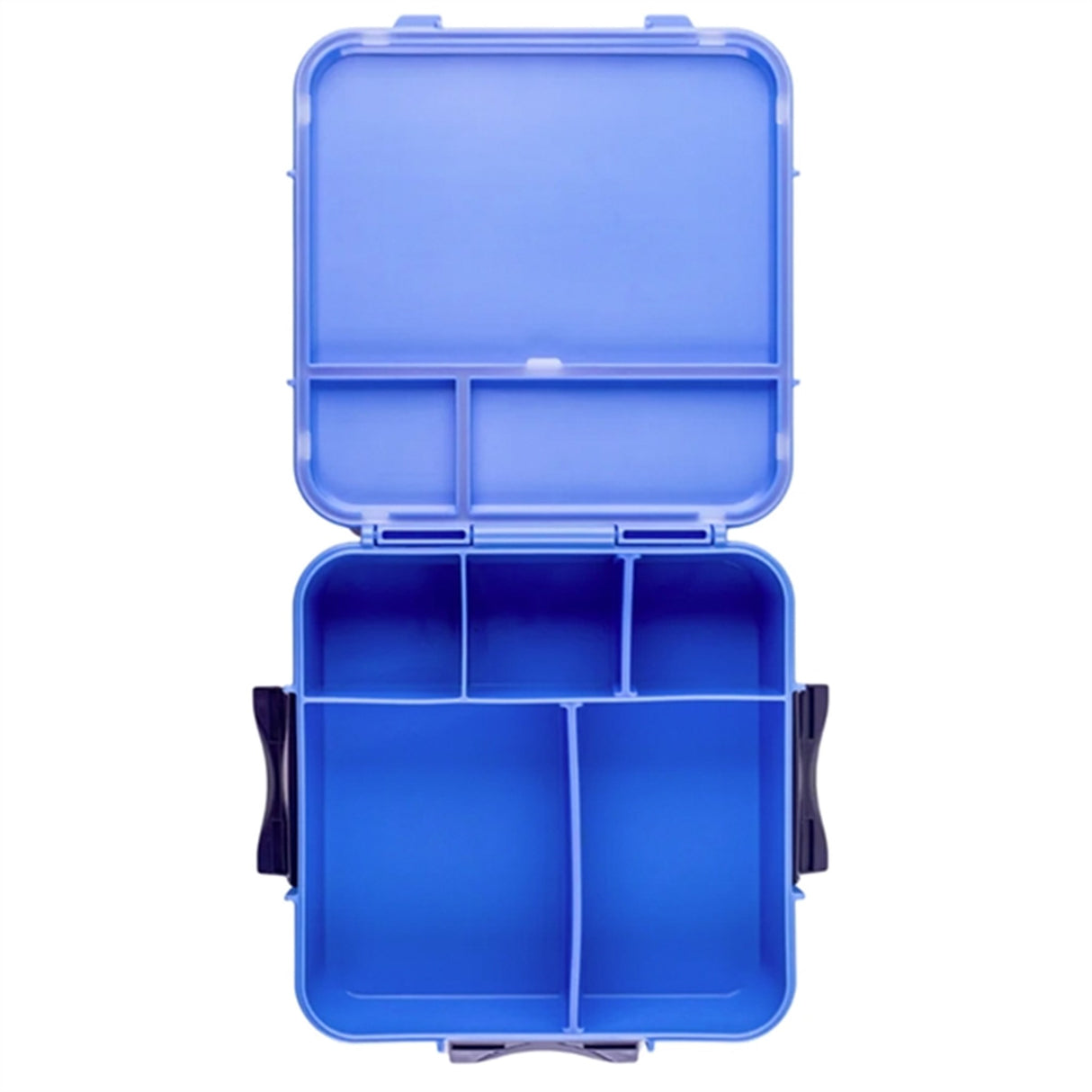 Little Lunch Box Co Bento 3+ Lunch Box Blueberry 4