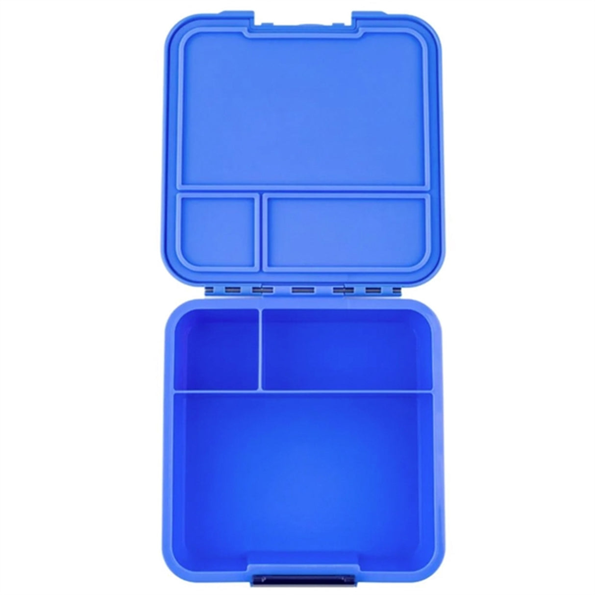 Little Lunch Box Co Bento 3 Lunch Box Blueberry 4