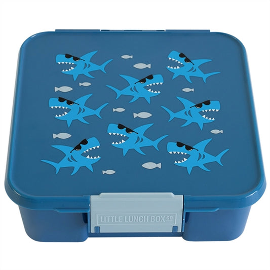 Little Lunch Box Co Bento 5 Lunch Box Shark