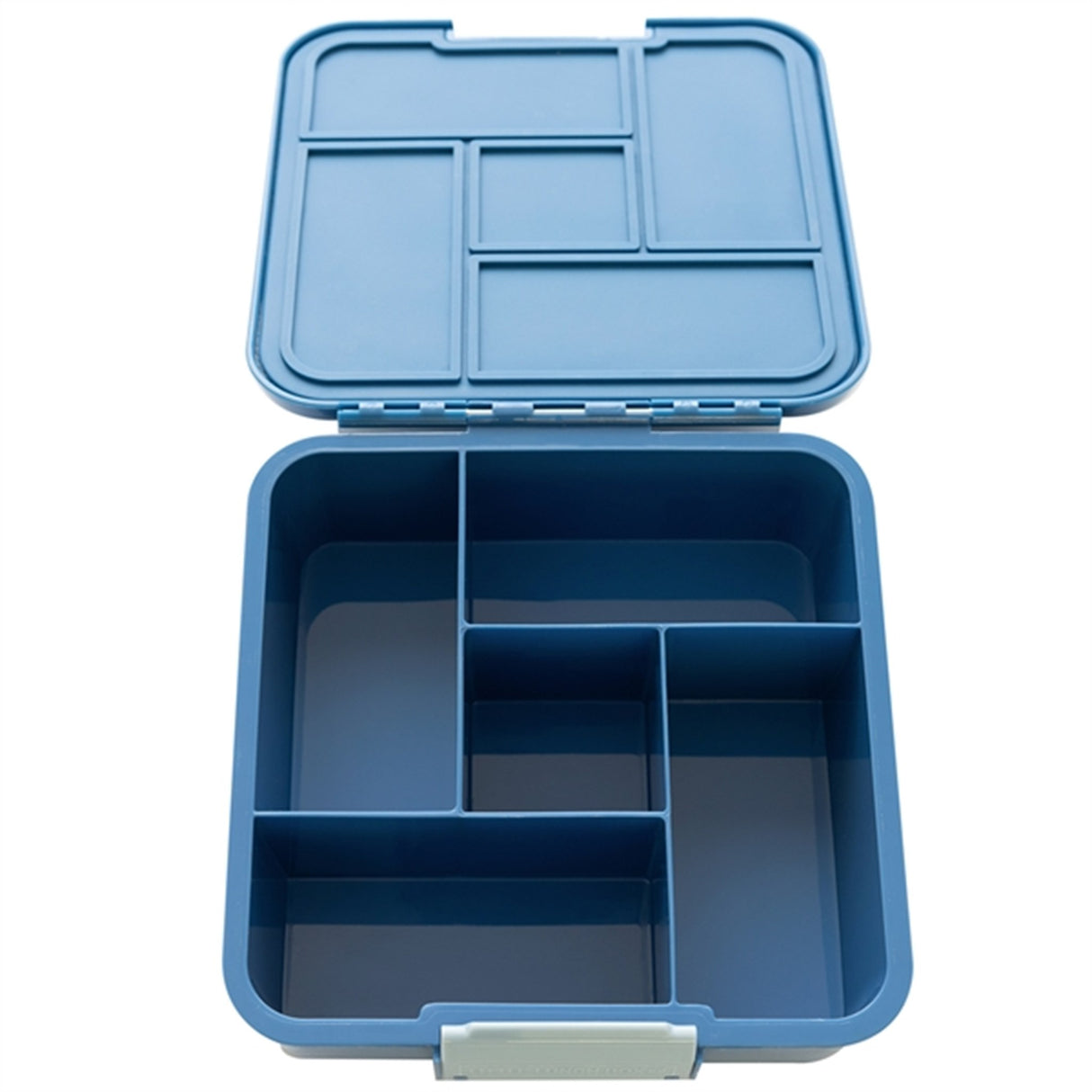 Little Lunch Box Co Bento 5 Lunch Box Shark 5
