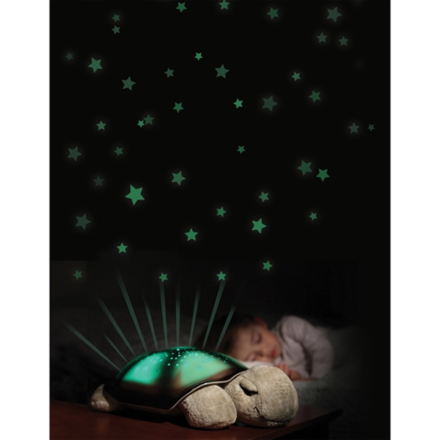 Cloud B Twilight Turtle Night Light Mocha