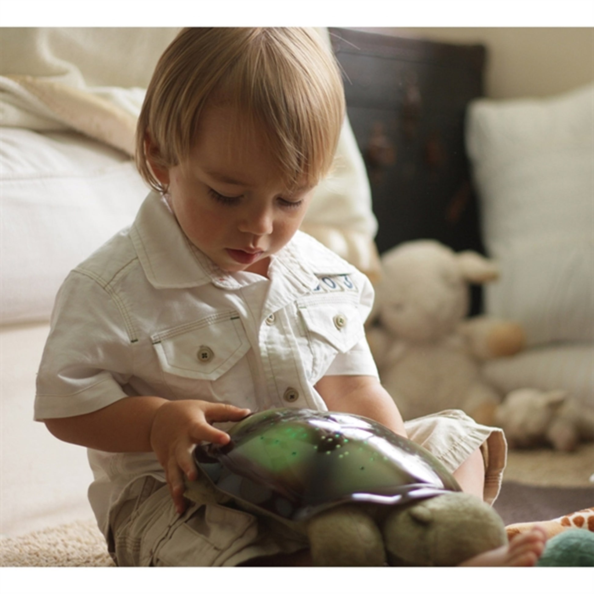 Cloud B Twilight Turtle Night Light Mocha