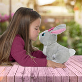 Club Petz Betsy 4