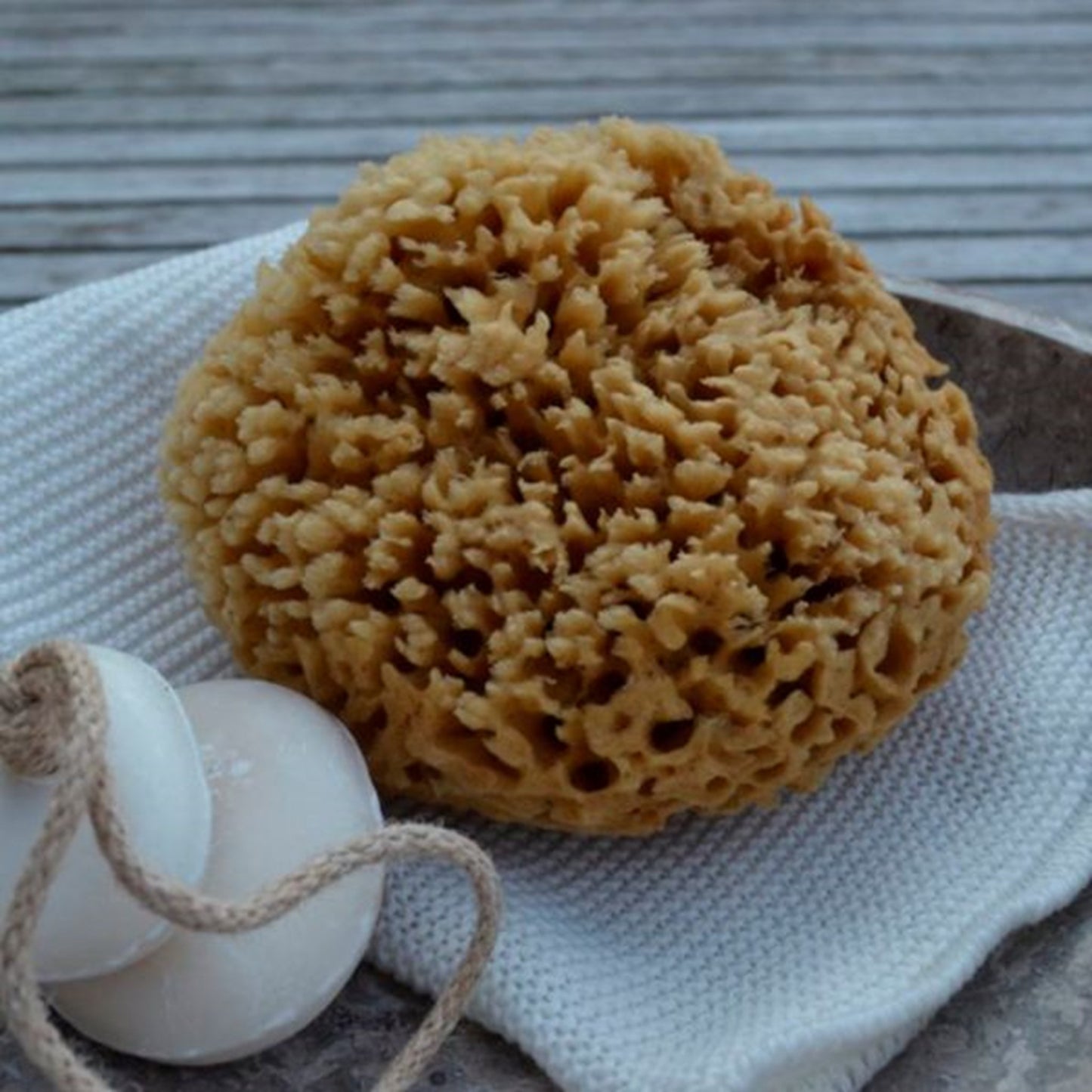 Cocoon Organic Laundry Honeycomp Wool Sponge 13-14 cm