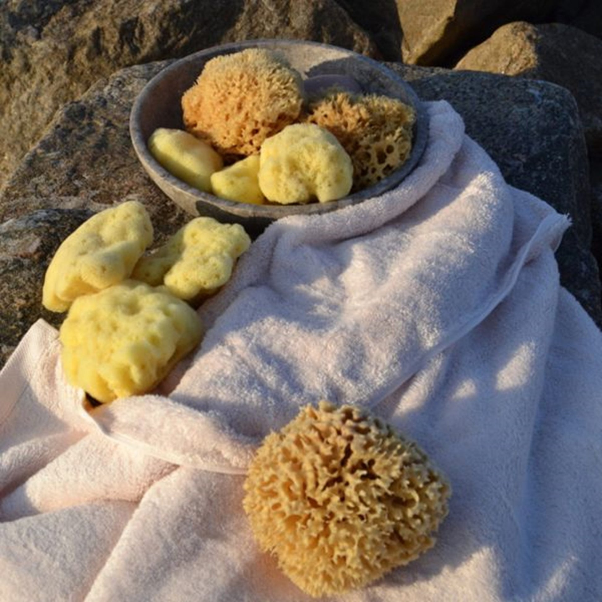 Cocoon Organic Laundry Honeycomp Wool Sponge 13-14 cm