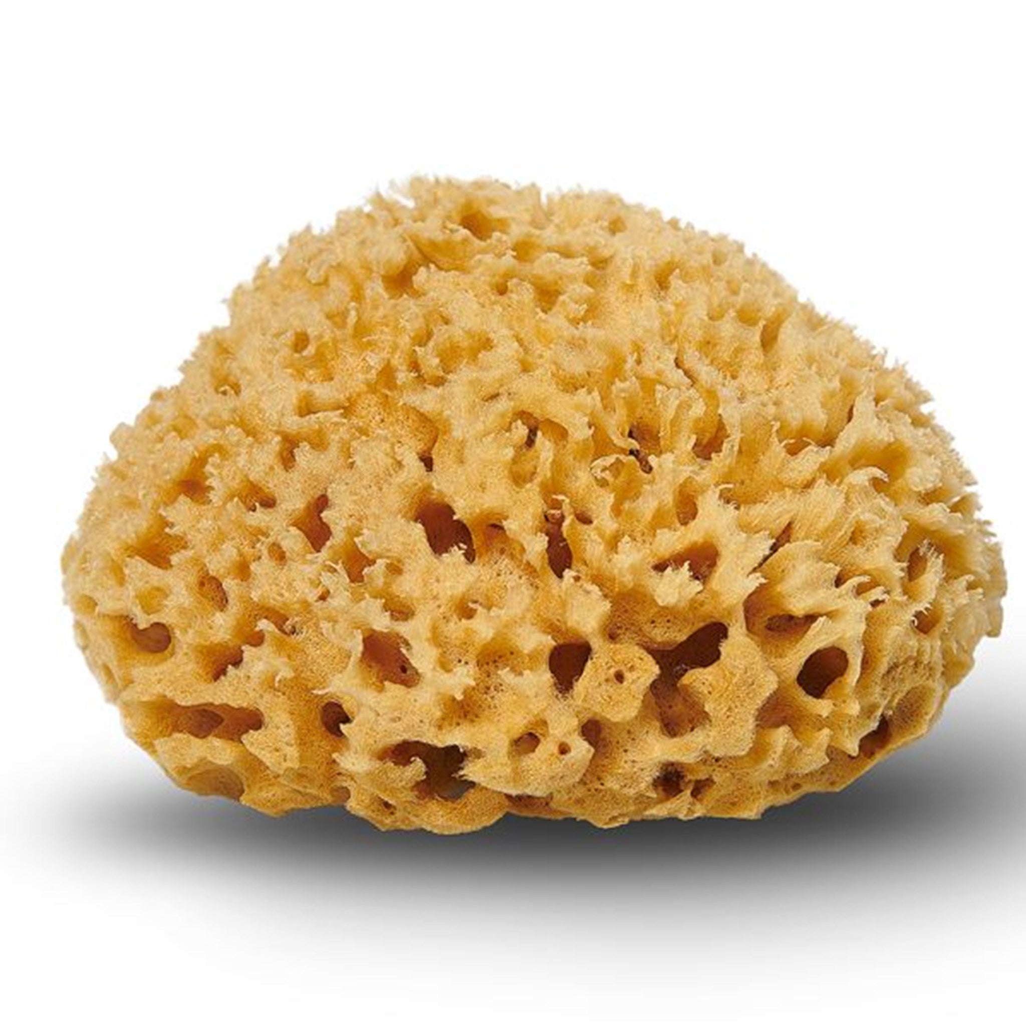 Cocoon Organic Laundry Honeycomp Sponge 10-11 cm