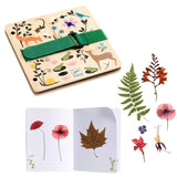 Djeco Do It Yourself Flower Press