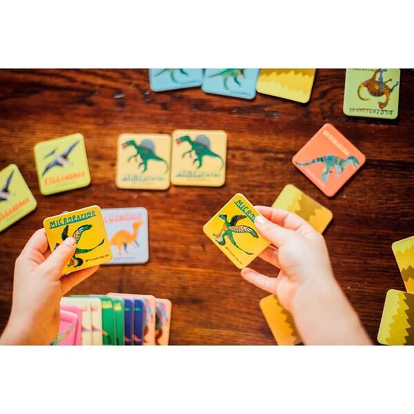 Eeboo Memory Game - Dinosaurs 3