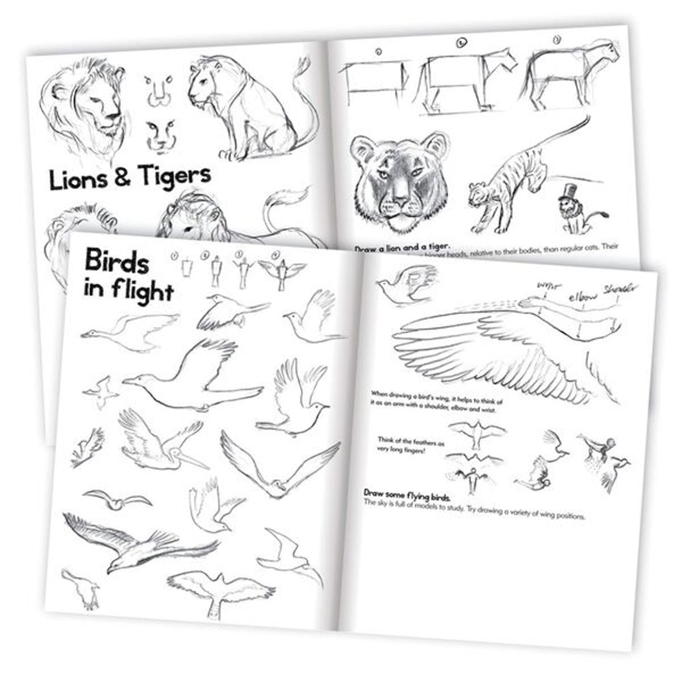 Eeboo Learn to Draw - Animals