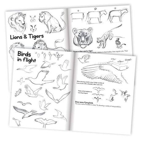 Eeboo Learn to Draw - Animals