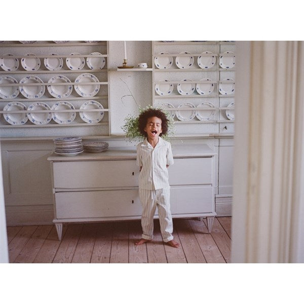 Flöss Bobby Shirt Blue/Green Stripe