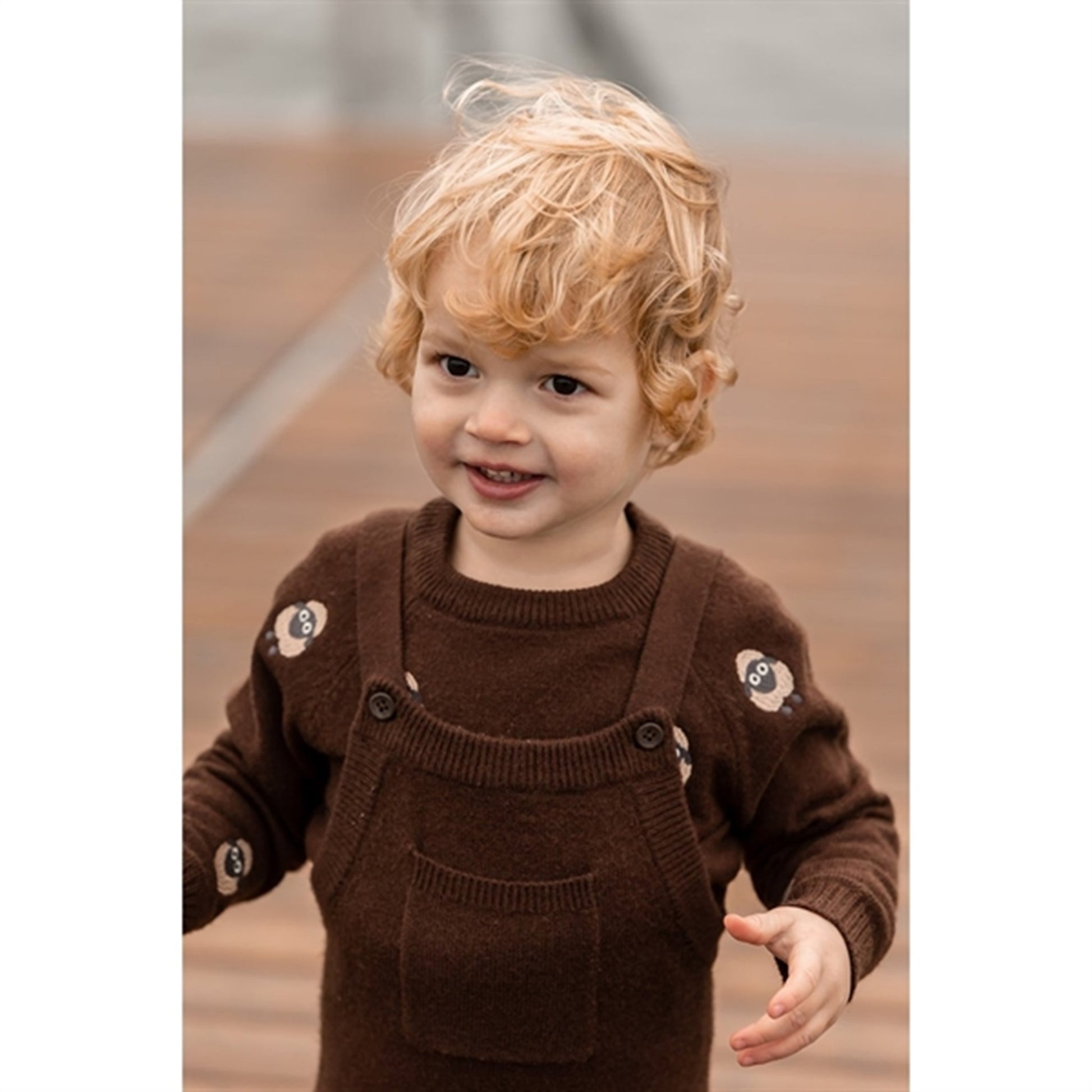 Fliink Chicory Coffee Alon Pullover