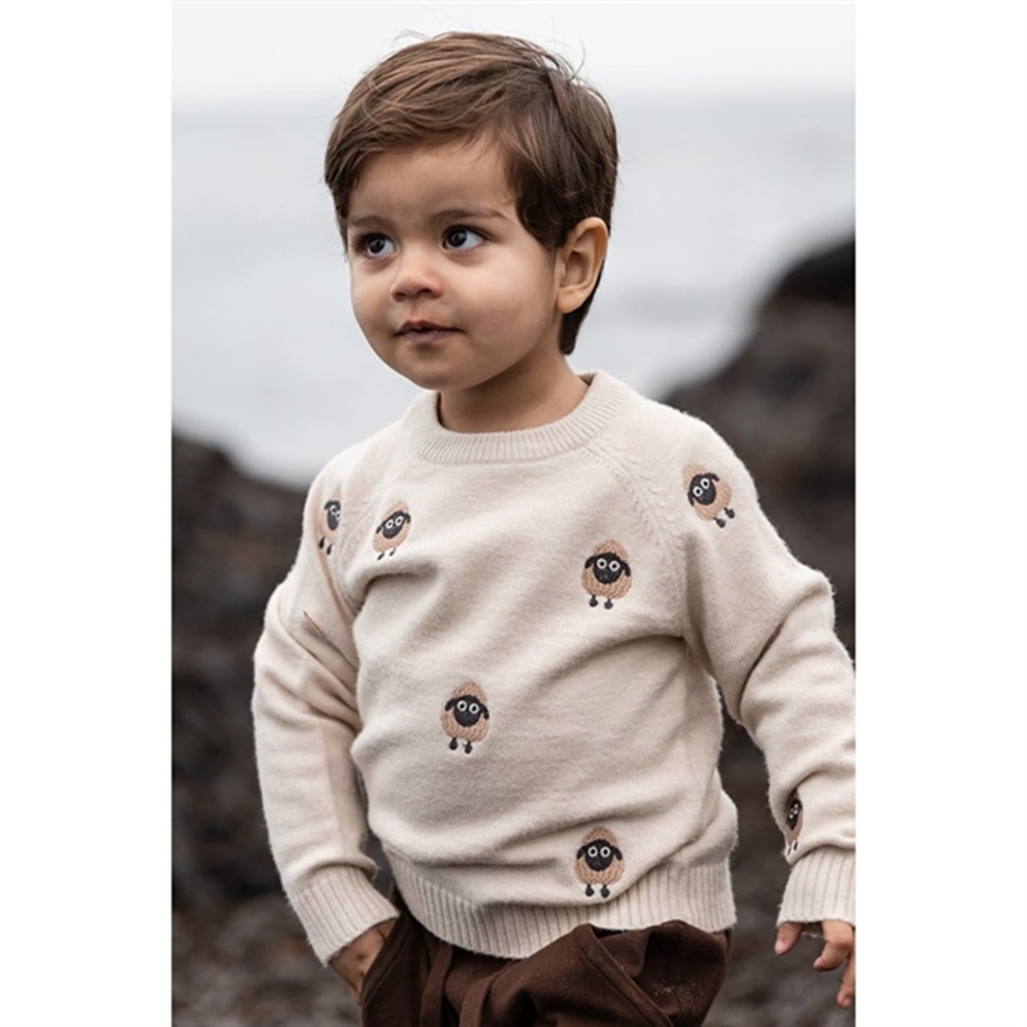 Fliink Sandshell Embr. Sheep Alon Pullover