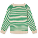Fliink Jelly Bean Green Stripe Fave Stripe Knit