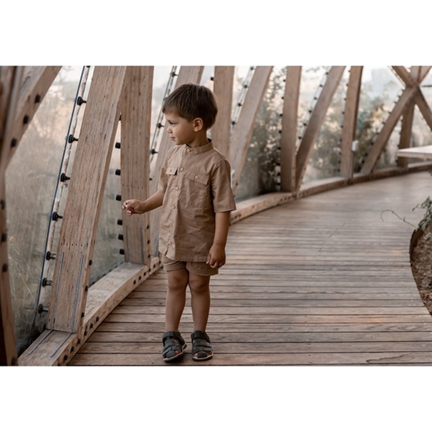 Fliink Tigers Eye Banjo Shirt